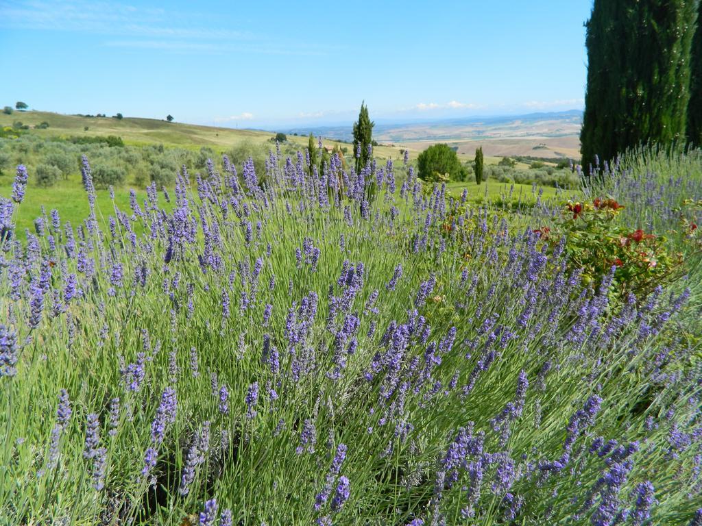 Le Rogheta Villa Campiglia dʼOrcia Exterior foto