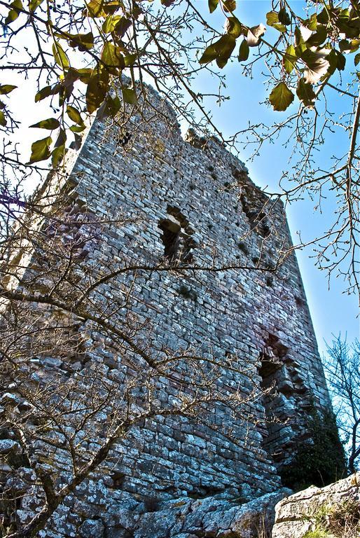 Le Rogheta Villa Campiglia dʼOrcia Exterior foto