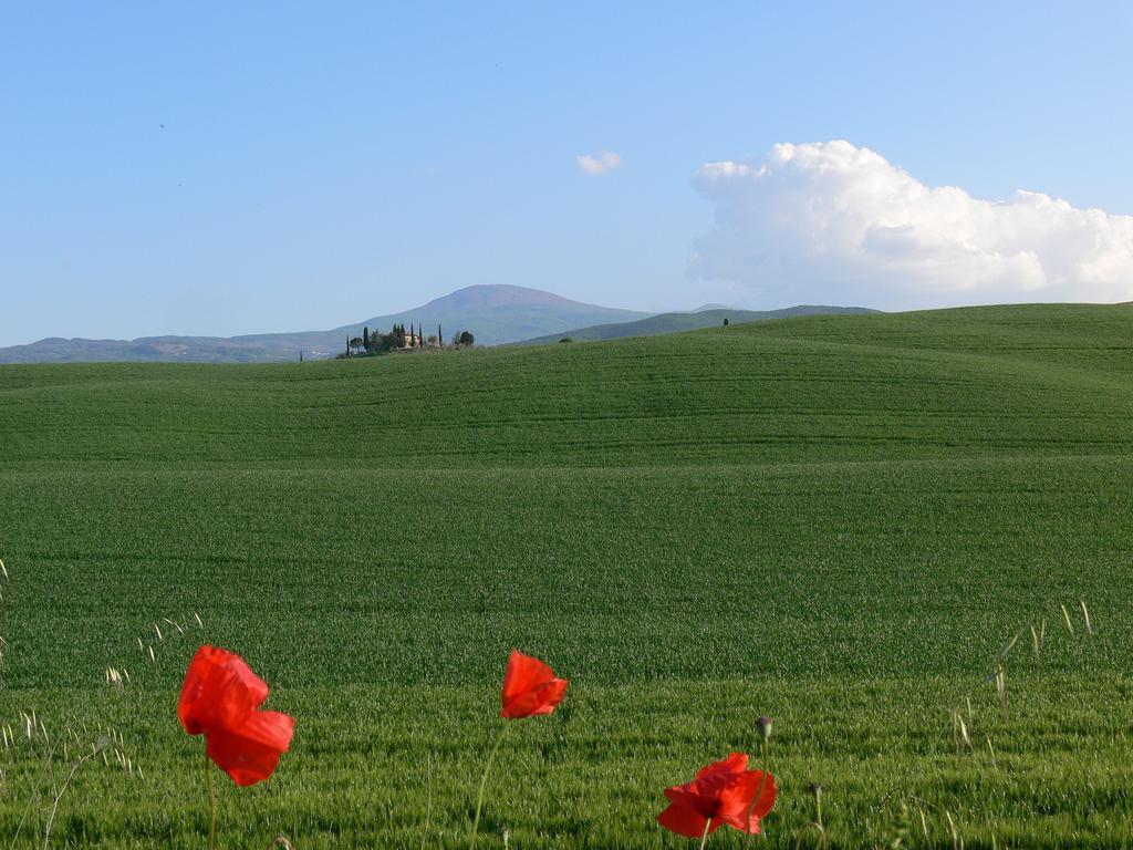 Le Rogheta Villa Campiglia dʼOrcia Exterior foto